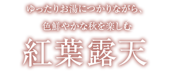 ゆったりお湯につかりながら、色鮮やかな秋を楽しむ紅葉露天