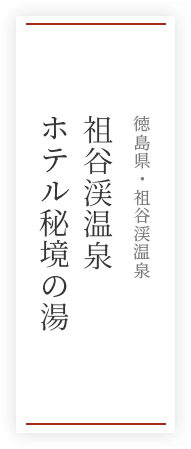 祖谷渓温泉 ホテル秘境の湯